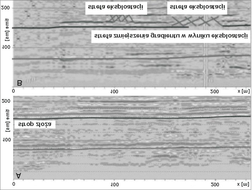 iloœciowych informacji. Zmiany gradientu obserwuje siê te dla z³o a przed rozpoczêciem eksploatacji. Zwi¹zane jest to z pierwotn¹ zmiennoœci¹ z³o a.