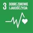 nowych paliw EFECTA 95 i EFECTA Diesel, zainicjowanie projektu w zakresie morskiej energetyki wiatrowej.