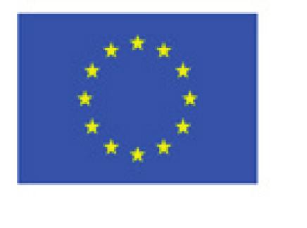 Projekt Między tradycją a zmianą ścieżki migracyjne Polskich Romów był finansowany przez Narodowe Centrum Nauki, grant Polonez, nr: 2015/19/P/HS6/04125.