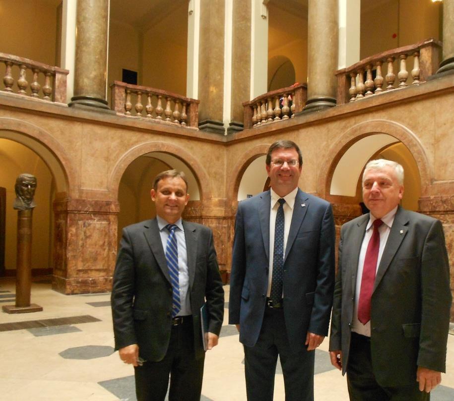 nowoczesnego modelu opieki zdrowotnej opartej na interdyscyplinarnym zespole skupiającym przedstawicieli różnych zawodów medycznych i zapewniających wszechstronną opiekę dla chorego.