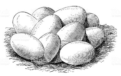ŚNIADANIE, DOBRY POCZĄTEK DNIA ŚNIADANIE MAZURSKIE (jajo do wyboru / świeże warzywa / wędzony twaróg / szynka gotowana) OMLET Z DODATKAMI (cebula / ser / pieczarka / boczek / ser lub na słodko)