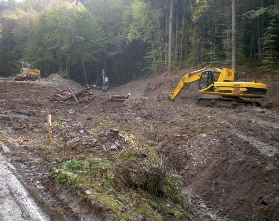 17. Nadleśnictwo Bircza zrealizowało inwestycję pod nazwą renaturyzacja polegającą na zabudowie ponad 550 m koryta potoku Kamionka, wprowadzając w błąd RDOŚ w Rzeszowie oraz Wójta Gminy Fredropol co