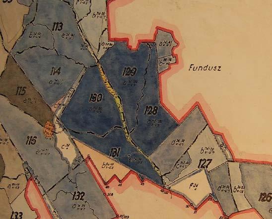 30. Mapa leśna z lat 50 XX wieku, pośrodku widać wydzielenie opisane jako Jd180, czyli z dominacją jodły w wieku 180 lat.