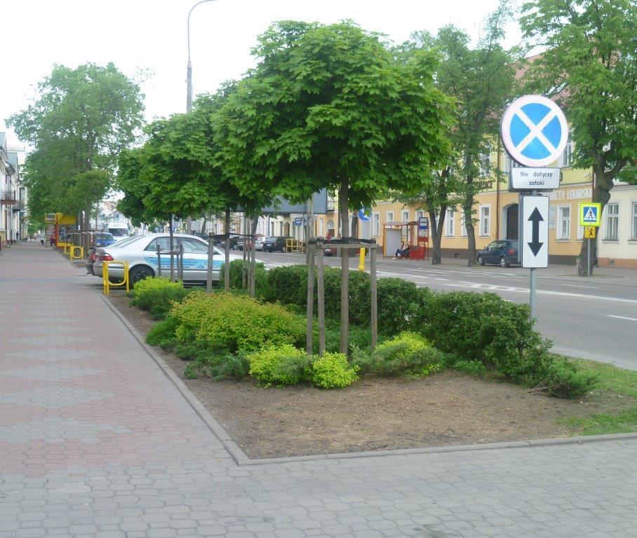 Wymiana zieleni
