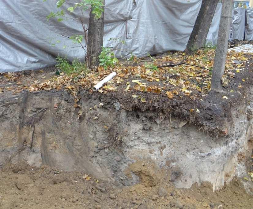 nasypaniem lub zdjęciem gleby powoduje ograniczenie