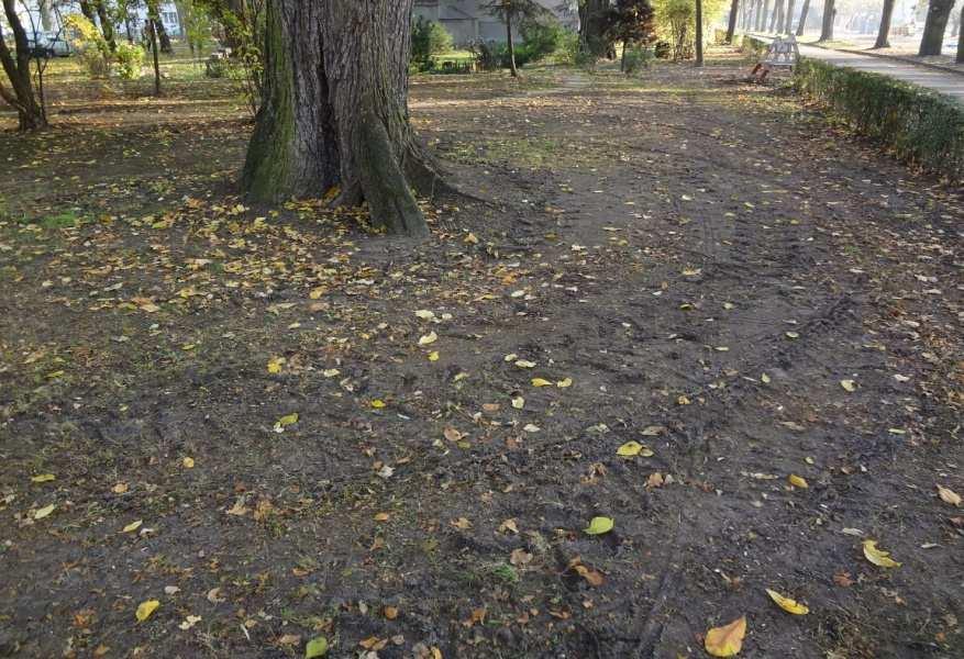 Nie wolno lokalizować baraków budowy w SOD.