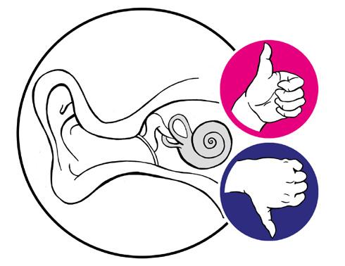 czyli narządu słuchu znajdującego się w uchu wewnętrznym.