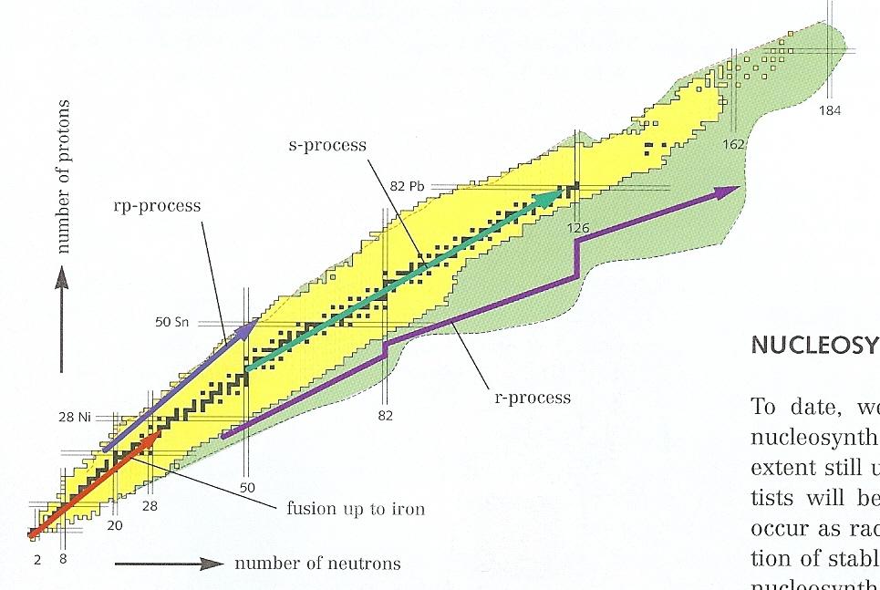 Badanie procesów nukleosyntezy Proces rp rapid proton capture 3.