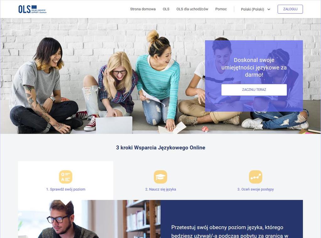Online Linguistic Support