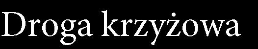 Nic raz na zawsze nie zabezpiecza człowieka przed sprzeniewierzeniem się Ewangelii.