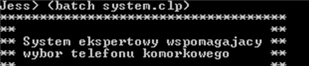 Napisany przykładowy system ekspertowy należy do rodziny systemów doradczych. Założeniem jest doradzanie użytkownikowi podczas wyboru telefonu komórkowego.