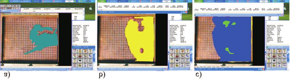 781 Fig. 3. Plane map of the single frames picture from Fig. 2, after the image analysis made by LEICA Qwin v. 2.2.program Fig.