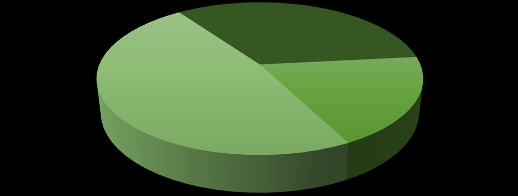 Lp. Seria akcji Liczba akcji (w szt.) Udział w kapitale zakładowym (%) Udział w głosach (%) 1. A 1 000 000 36,36% 36,36% 2. B 750 000 27,27% 27,27% 3.