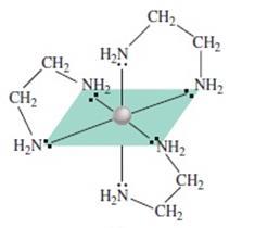Związki kompleksowe - ligandy en - etylenodiamina (1,2-diaminoetan) ligand dwukoordynacyjny: [Co(en) 3 ] 3+ 3+ Do atomu