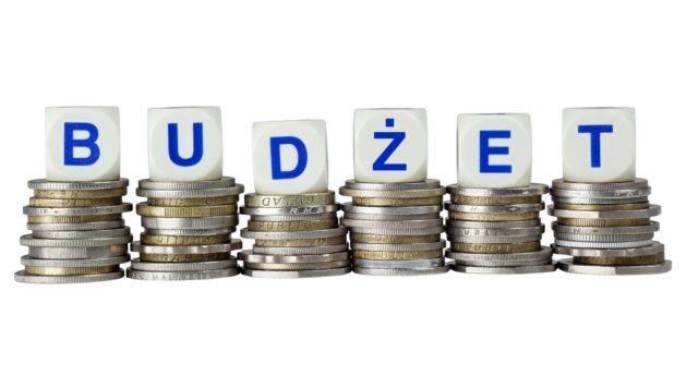 Dochody w wysokości: 28 173 677,00 zł Wydatki w wysokości: 30 718 023,00 zł Deficyt budżetu w wysokości: 2 544 346,00 zł W ramach wydatków inwestycyjnych zaplanowano zadania: 1) Budowa sieci