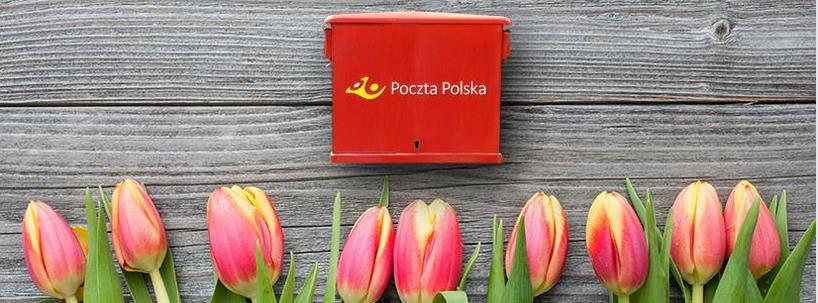 Efektywności Pion Kapitału