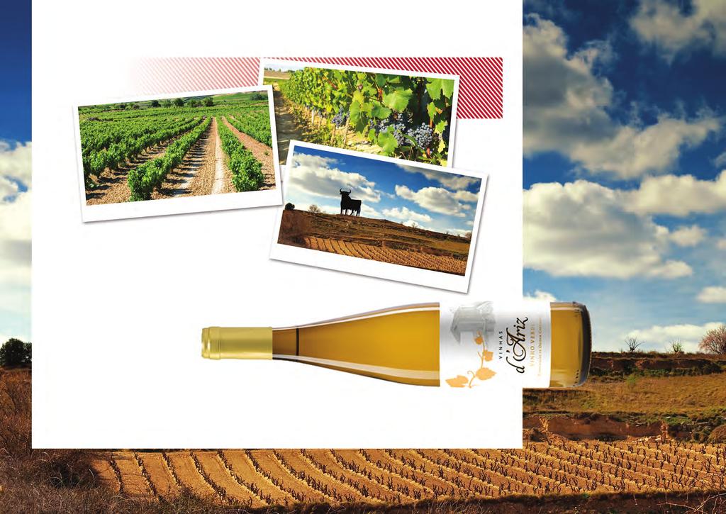 PORTUGALIA Apelacja Vinho Verde ulokowana jest w regionie Minho - w północnej Portugalii. Wytwarza się tutaj najwięcej portugalskiego wina.