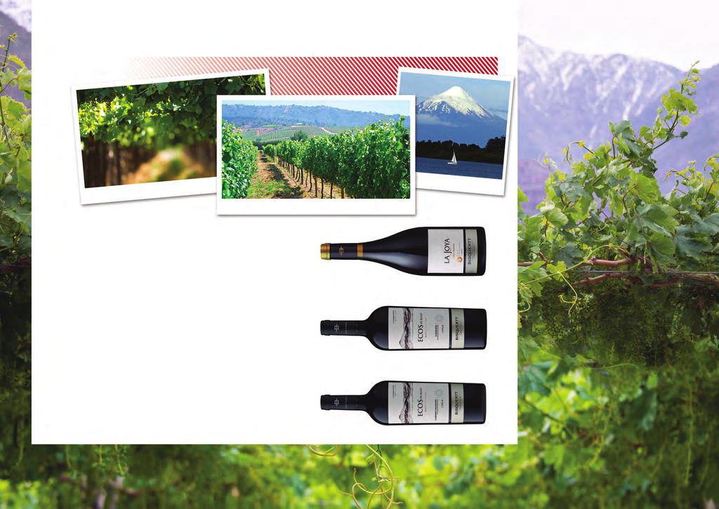CHILE La Joya Syrah Colchagua Valley - Gran Reserva 0,75 6 10 mc Ecos Single Vineyards