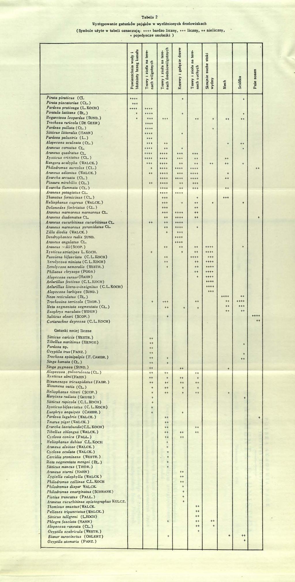 Tabela 2 W ystępow anie gatunków pająków w w yróżnionych środow iskach (Sym bole użyte w tab e li o z n a c z a ją : ++++ bardzo liczny, +++ liczny, ++ n ieliczn y, + pojedyncze osobniki )