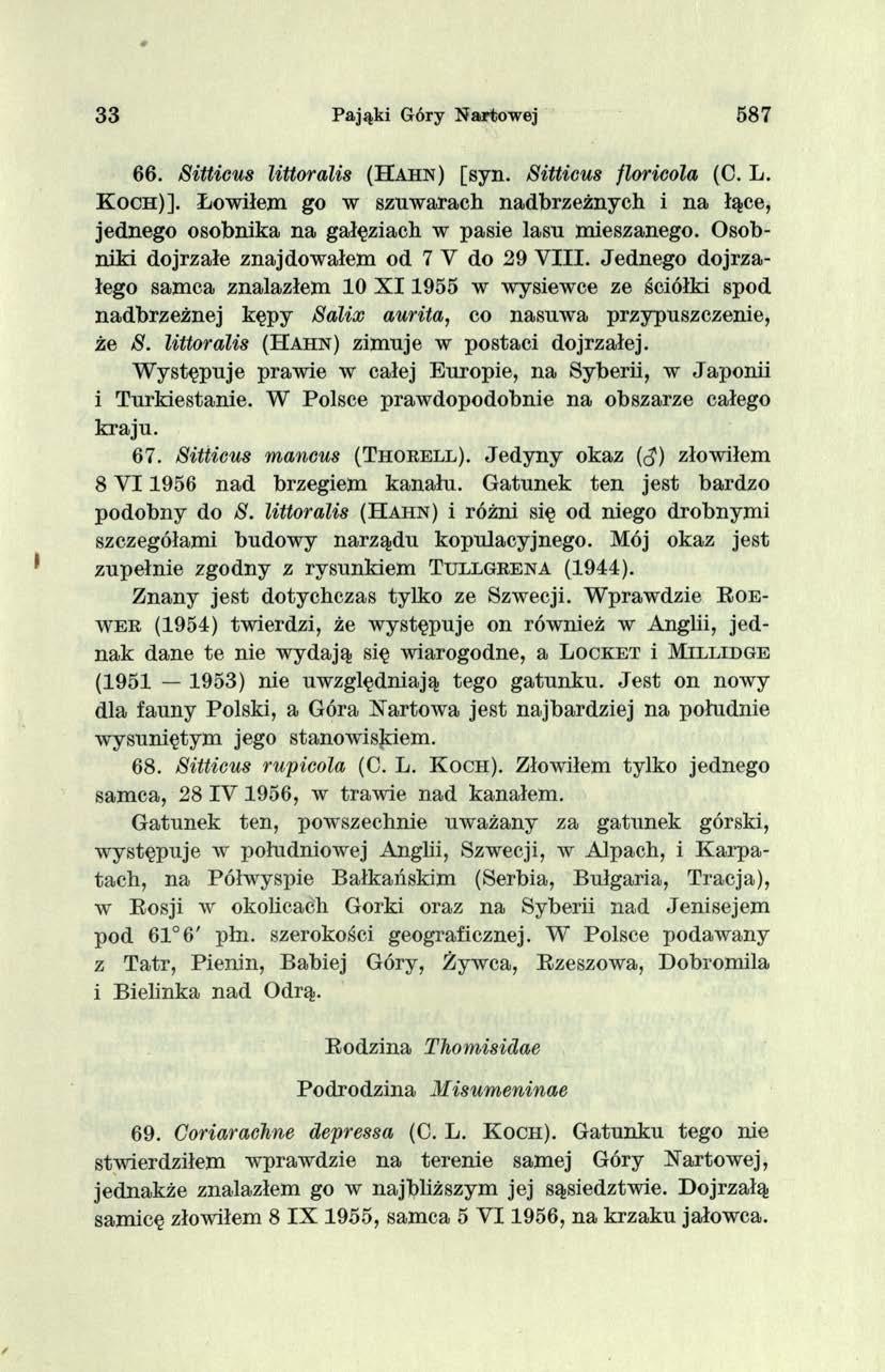 33 Pająki Góry Nartowej 587 66. Sitticus littoralis (H a h n ) [syn. Sitticus jloricola (O. L. K o c h )].
