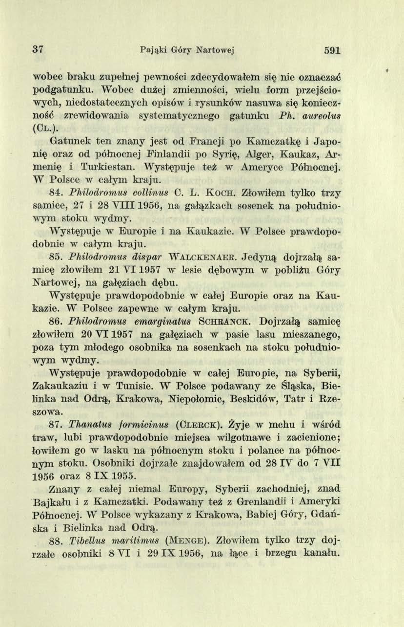3 7 Pająki Góry Nartowej 591 wobec braku zupełnej pewności zdecydowałem się nie oznaczać podgatunku.