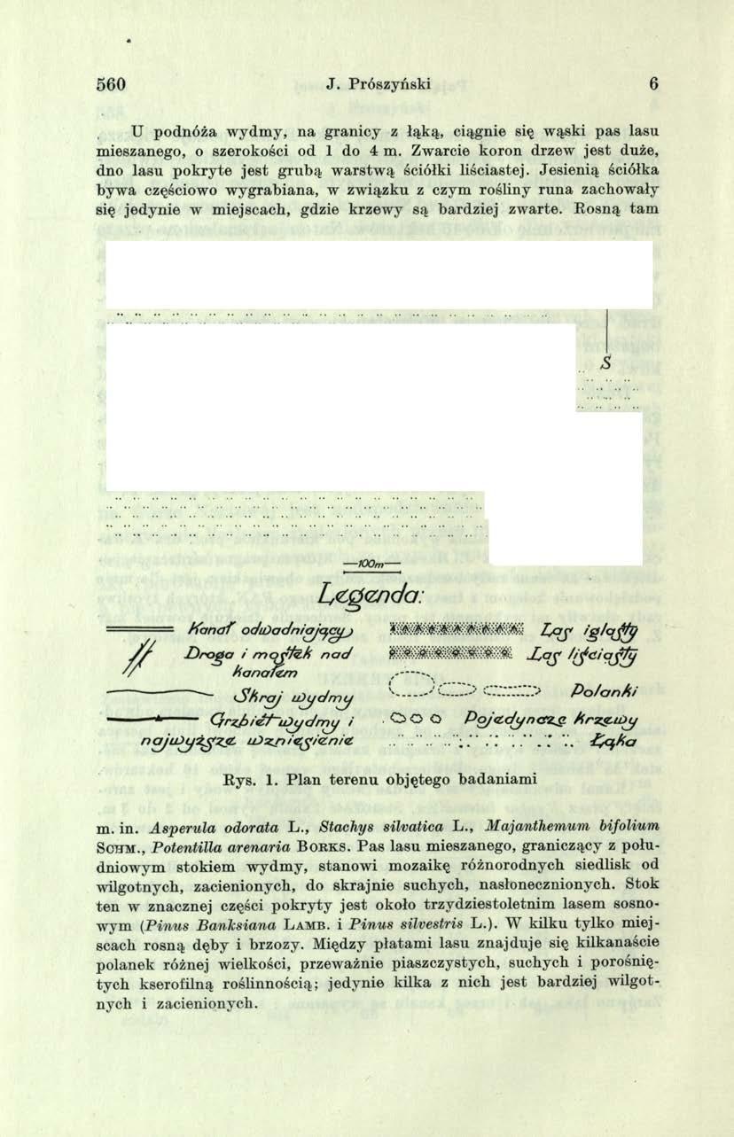 560 J. Prószyński 6 U podnóża wydm y, na granicy z łąką, ciągnie się wąski pas lasu mieszanego, o szerokości od 1 do 4 m.