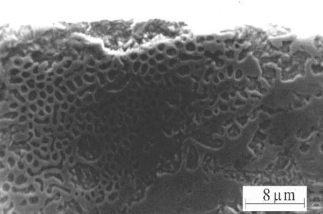 mm/min, hel) b,c) Fig. 5. Structure of the cross section of sample (a) hardened by foundry methods, (b,c) hardened by rapid crystallization (GTAW, I=300, v s =20