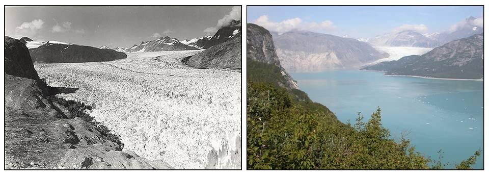 Primum non nocere Muir Glacier, Alaska Sierpień 1941 Sierpień 2004 NSIDC/WDC for Glaciology, Boulder, compiler.