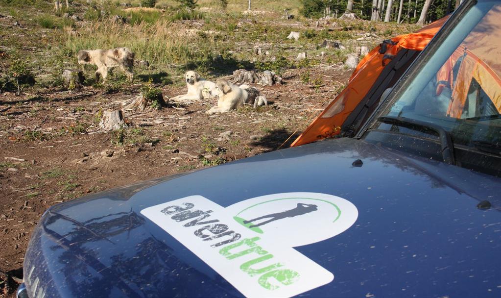 CENA ZAWIERA CENA NIE ZAWIERA wynajem aut terenowych Land Rover Discovery z pełnym ekwipunkiem campingowym prowadzenie grupy przez przewodnika z Polski koszty przekraczania granic KOSZTY NOCLEGÓW: