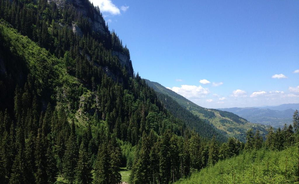 Cascada Cailor to najwyższy wodospad Rumunii. Wznosi się na 90 m.