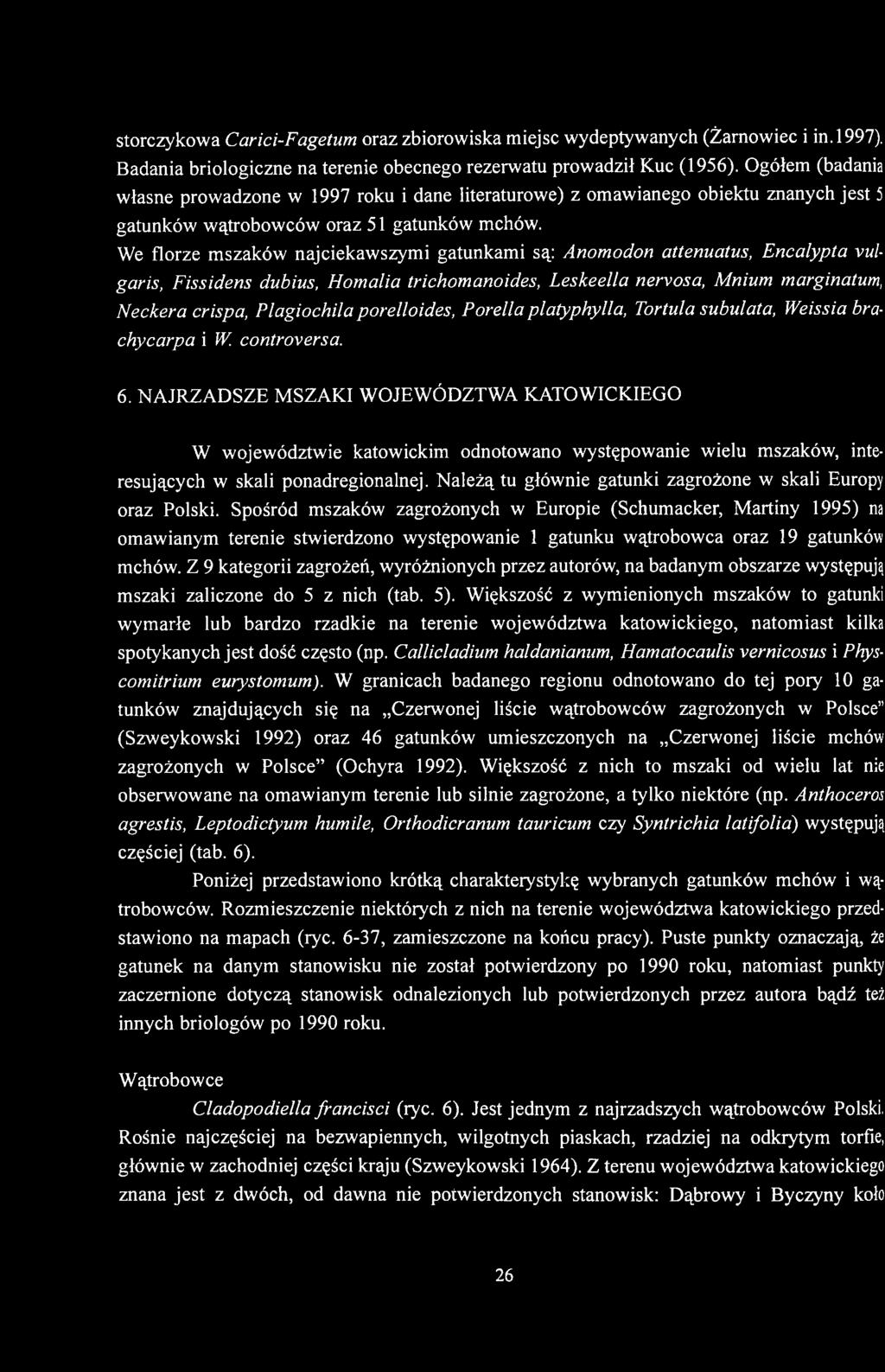 We florze mszaków najciekawszymi gatunkami są: Anomodon attenuatus, Encalypta vulgaris, Fissidens dubius, Homalia trichomanoides, Leskeella nervosa, Mnium marginatum, Neckera crispa, Plagiochila