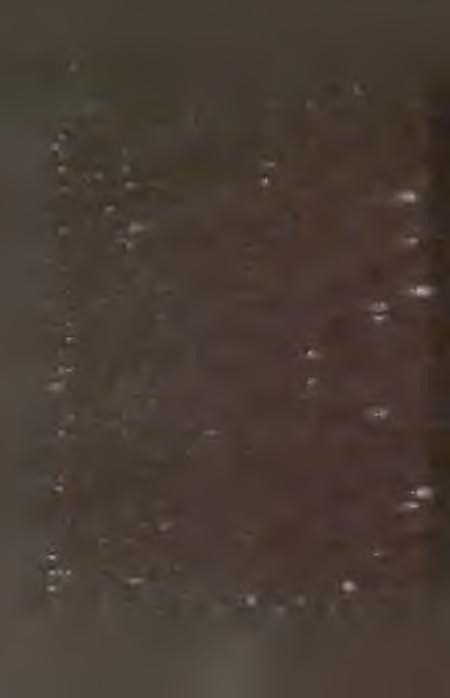 Tab. 8 - kontynuacja (continuation). Nazwa gatunku K ategorie za gro żen ia - C ateg o ries o f threat Species name Ex E V R I 62. Dicranodontium denudatum (Brid.) Britt. - + - - - 63.