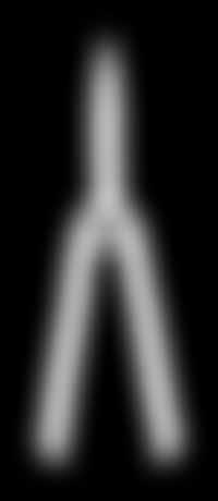 wysokość 55-75 cm, don.