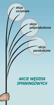 Na spinning łowi się głównie ryby drapieżne: szczupaki, okonie, sandacze i sumy. Na spinningowe przynęty biorą także ryby z rodziny karpiowatych, na przykład bolenie, klenie, jazie oraz brzany.