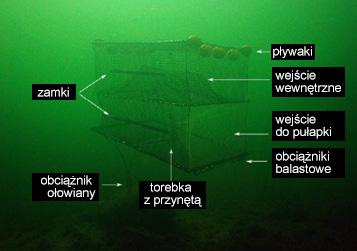 tradycyjnych. Il. 7 Żaki pontonowe i klatki dorszowe.