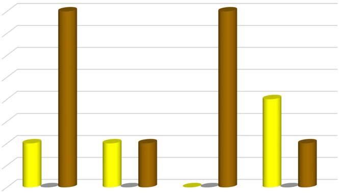 Triathlon Tab.
