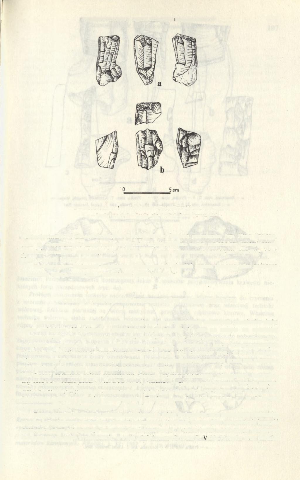 WCZESNOBRĄZOWY REJON PRACOWNIANO-OSADNICZY 195 Ryc. 2. a - Pradła, stan. 3; b - Pradła, stan. 4 (Piec). Krzemień jurajski miejscowy a - Pradła, site 3: b - Pradła. site 4 (Piec).