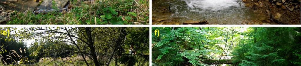 Anthropogenic and natural objects that were barriers to upstream fish movement; a) Peterka