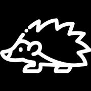 56