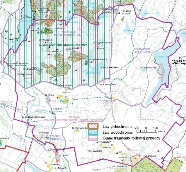 różny stopień wykształcenia i budowy wewnętrznej, wynikającej w dużym stopniu z intensywnego rolnictwa w bezpośrednim otoczeniu, ale i ze stopnia podmokłości obszaru.