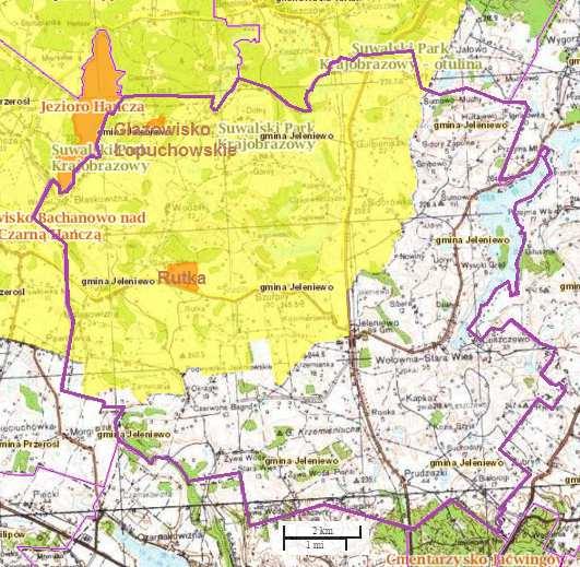 źródło: http://geoserwis.gdos.gov.pl/mapy/ Ryc.10 Położenie Gminy na tle Suwalskiego Parku Krajobrazowego wraz z otuliną, oraz rezerwaty przyrody Na obszarze Gminy występują trzy rezerwaty przyrody.