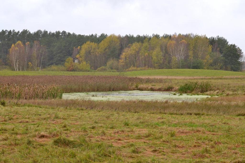 2 Fot. 2 Rozlewisko. Jesień 2017 Photo 2 The pool. Autumn 2017 Ryc. 1 Lokalizacja stanowiska Fig.