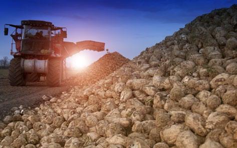 AKTUALNOŚCI to jedyny kraj, który może sobie pozwolić na przeniesienie od 5% do 10% wydajności produkcyjnej cukrowni z cukru na etanol w ciągu roku, w odpowiedzi na zmiany rentowności obu produktów.
