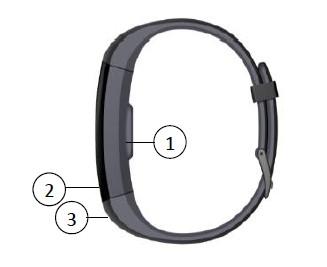 Szczegóły produktu 1. Czujniki 2. Przycisk Wstecz 3. Port ładowania USB (w bransoletce) Załaduj bransoletkę: WSKAZÓWKA: Port ładowania USB jest oznaczony symbolem USB na opasce.
