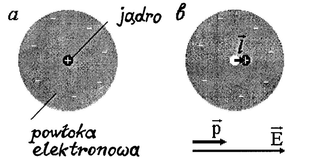 Wykład 8 Dielektryk w polu elektrycznym Polaryzacja dielektryka Dielektryk (izolator), w odróżnieniu od przewodnika, nie posiada ładunków swobodnych zdolnych do przemieszczenia się na duże odległości.