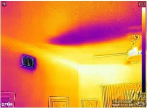 może się obejść. www.flir.