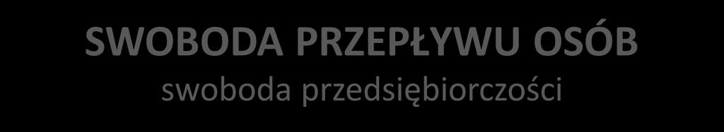 Założenie i prowadzenie przedsiębiorstwa (TS UE) rzeczywiste wykonywanie działalności gospodarczej (o charakterze zarobkowym)