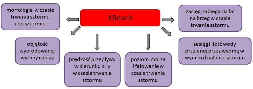 zmian morfologii