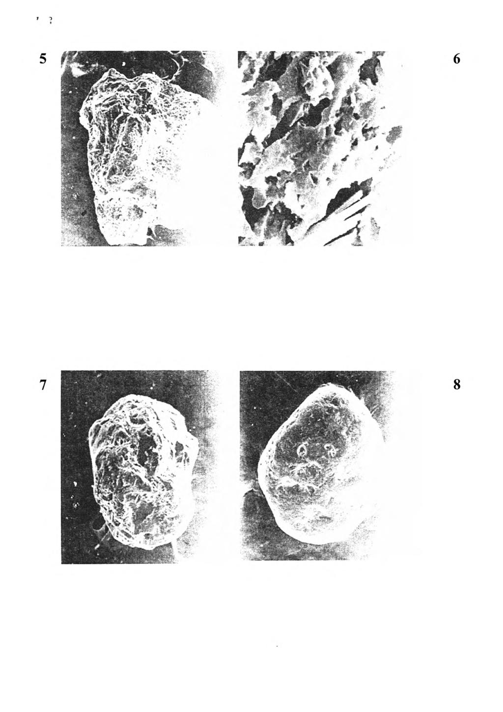 168 A. Kowalkowski, M. Degórski FOTO. 5.