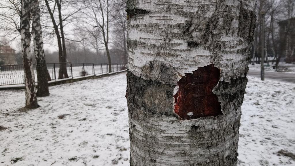 Na zajęciach praktycznych realizowana była